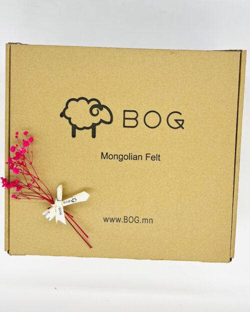 Цаасан хайрцаг